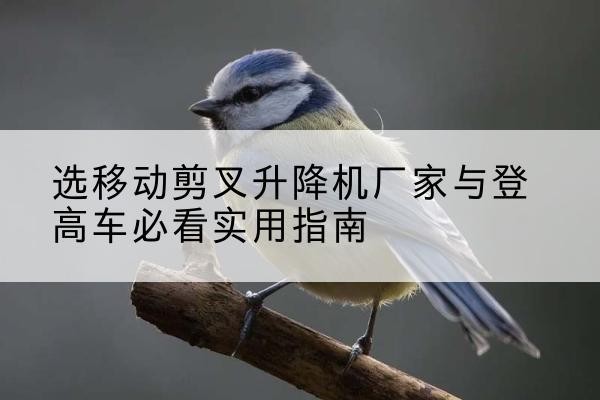 路桥电动升降机厂家-选移动剪叉升降机厂家与登高车必看实用指南