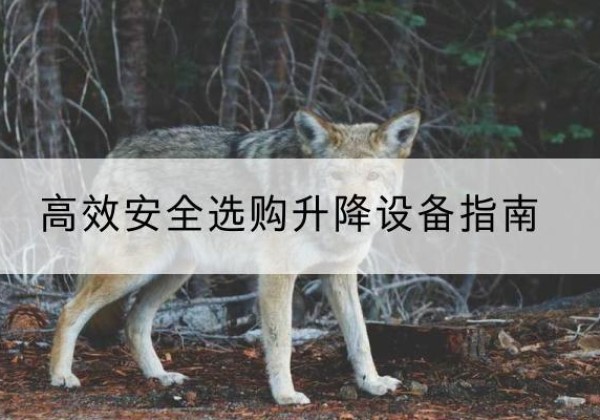 路桥升降货梯厂家推荐-*安全选购升降设备指南